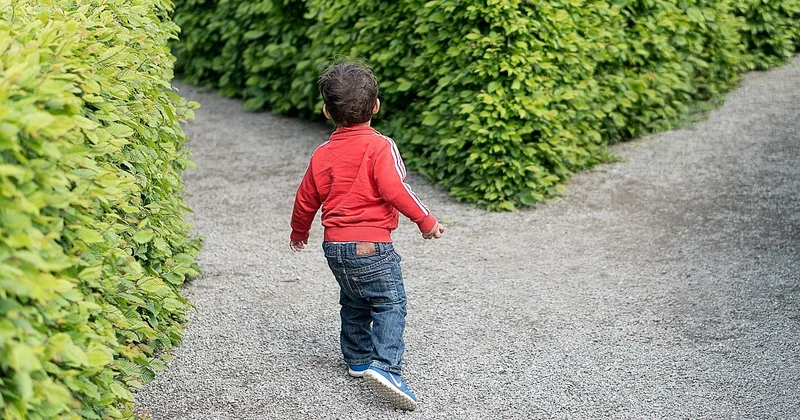 Alors, lequel choisir pour son business ?